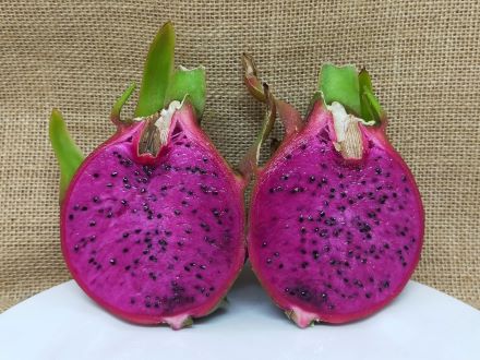 20 seeds American Beauty Self Pollinating dragon Fruit