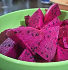 American Beauty Self Pollinating dragon Fruit Cutting pitaya