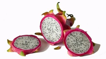 30 seeds Giant white hylocereus dragon fruit cactus huge flower pitaya