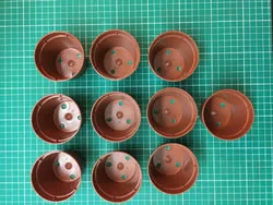 A pack of 10 x  6.5cm (2.6 inch) Terracotta coloured plastic pots