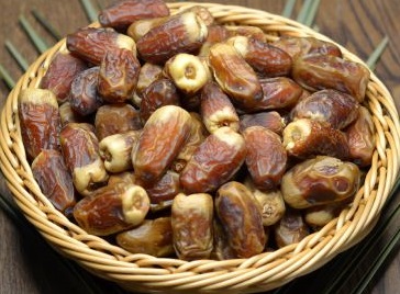 5 Sagai Date Seeds Date Palm Seeds