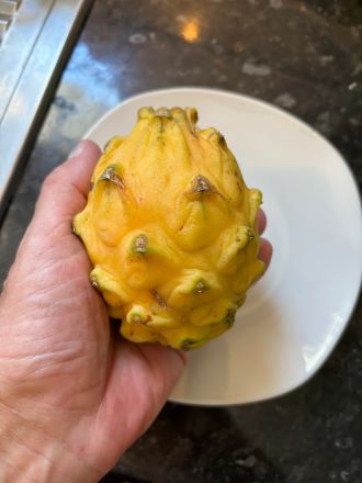 Yellow Dragon Fruit 20 seeds Selenicereus Megalanthus dragon fruit pitaya